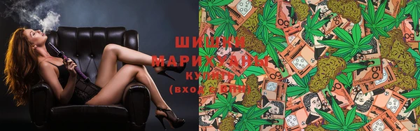 гидропоника Белокуриха
